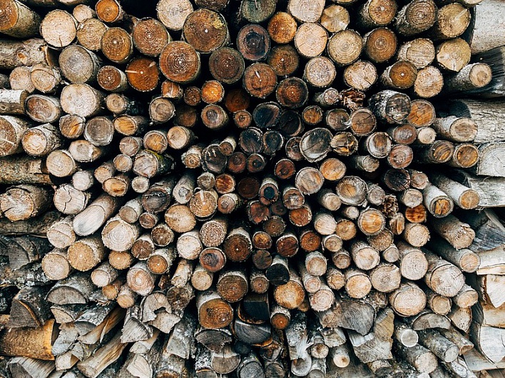 ПГК на четверть увеличила экспорт древесины в Китай и Корею