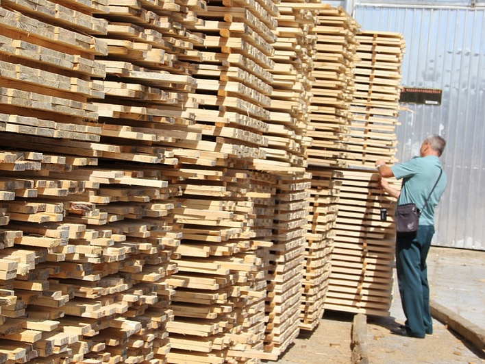 Экспорт леса сокращается: все больше предприятий заинтересованы в глубокой переработке