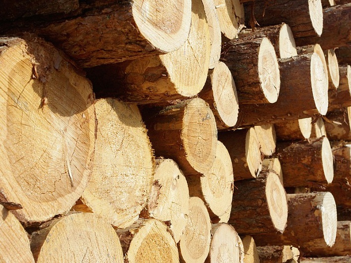 ПГК увеличила экспортные отправки лесных грузов на 32%